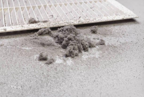 Best Affordable Duct Cleaning Services  in Tariffville, CT