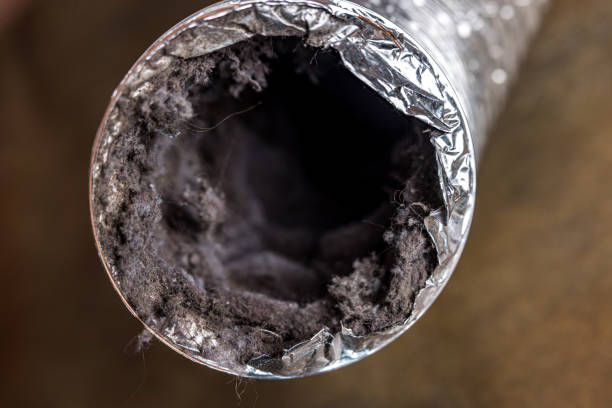 Best Ductwork Cleaning Services  in Tariffville, CT