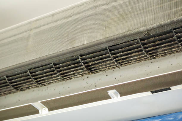 Best Air Duct Cleaning Near Me  in Tariffville, CT